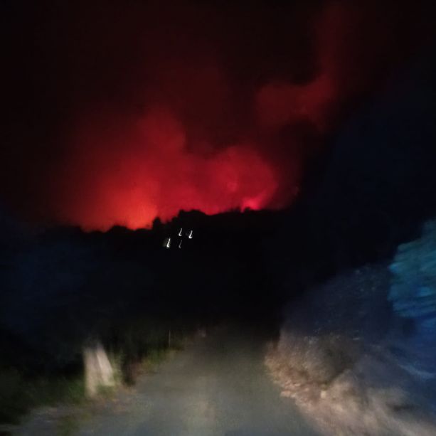 Incendio boschivo ad Alassio: mobilitati i mezzi aerei, evacuate alcune abitazioni