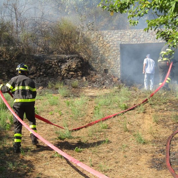 Savona, incendio boschivo a Ciantagalletto: continua il presidio della zona (FOTO e VIDEO)