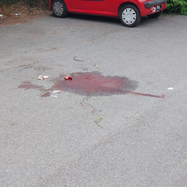 Delitto di piazza delle Nazioni, la fine del rapporto e insulti che scatenano l'ira omicida: vittima una 27enne albanese (FOTO e VIDEO)