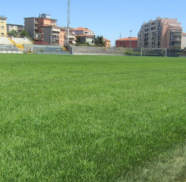 Stadio Bacigalupo, l'assessore Rossello: &quot;Da dicembre sarà possibile utilizzarlo temporaneamente per gli allenamenti&quot;
