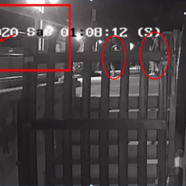 Albisola, colpiscono con calci, pugni e cocci di bottiglia un 66enne disabile: 4 misure cautelari per giovani dai 19 ai 21 anni (FOTO e VIDEO)