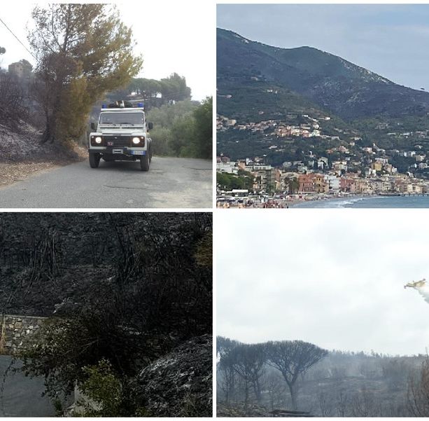 Alassio, domato l'incendio sulla collina tra Cavia e Santa Croce: avviate le fasi di bonifica (FOTO e VIDEO)