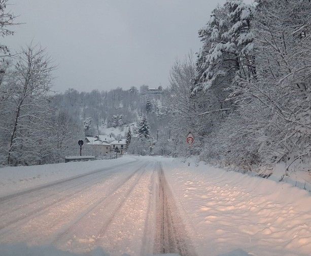 Il carico di neve mette a rischio la tenuta di diversi alberi: chiusa nella notte la Sp334