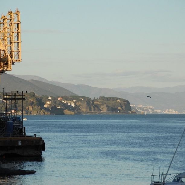 Il sindaco Russo incontra Canavese, rappresentante di Savona in Comitato portuale: &quot;Preoccupati per la situazione&quot;