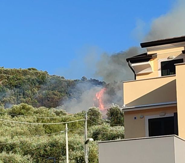 Finale, rogo sulle colline di Calvisio: in fiamme ulivi e orti (FOTO)
