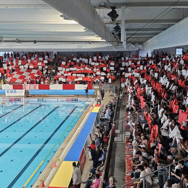Pallanuoto, Champions League. La Rari Nantes Savona punta al primo posto nel girone, alle 18:00 lo scontro diretto contro l'Olympiacos