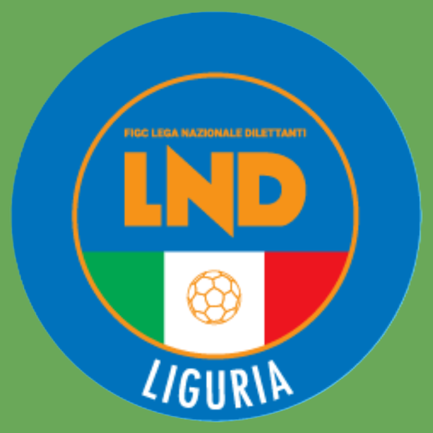 Calcio dilettantistico. Varato il format promozioni per i campionati 2024-25, con il quadro odierno nessuna promozione playoff in Promozione