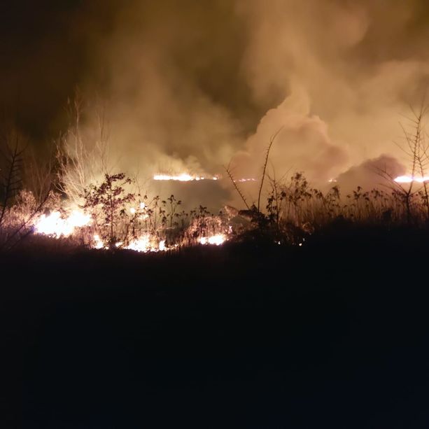Bene Vagienna, importante fronte di incendio domato in serata in frazione Buretto