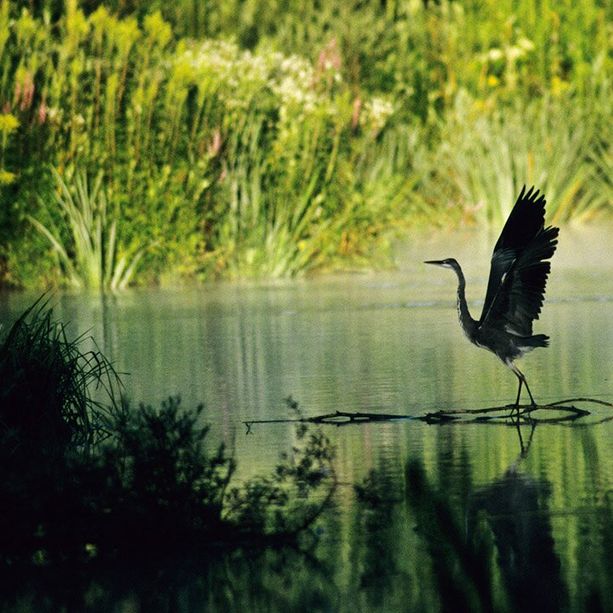 Terza domenica di maggio con tante proposte per il tempo libero