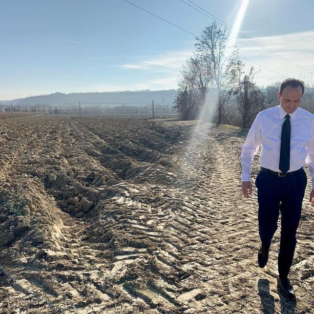 Il noccioleto di Cirio vandalizzato per invidia:  pensionato di Cherasco risarcirà il governatore