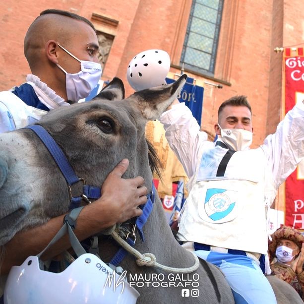 Alba, il Palio degli Asini ritrova il pubblico. Confermata la location di piazza Duomo