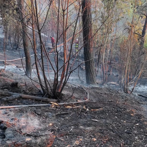Vasto incendio boschivo a Cossano Belbo: Vigili del Fuoco e volontari Aib da ore al lavoro per contenere le fiamme [FOTO E VIDEO]