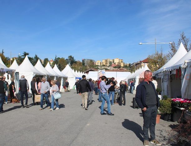 Visite ai cari defunti ma anche tanti appuntamenti in Granda per la festività di Ognissanti