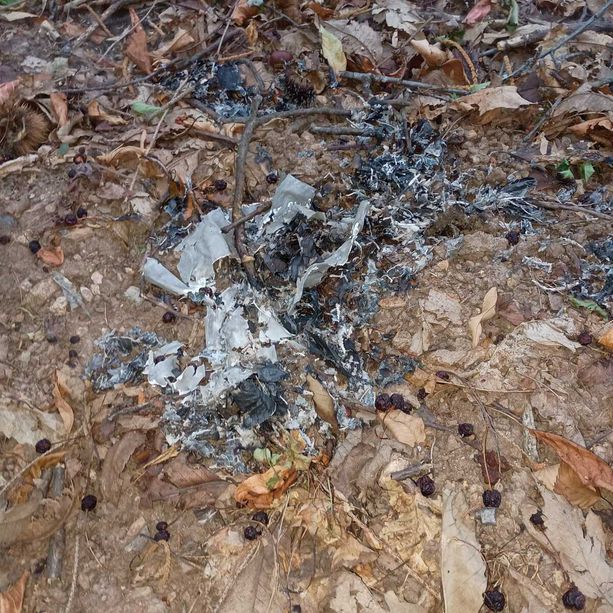Chiusa Pesio: trovano inneschi per dare fuoco al bosco di loro proprietà, la denuncia sui social Chiusa Pesio: trovano inneschi per dare fuoco al bosco di loro proprietà, la denuncia sui social