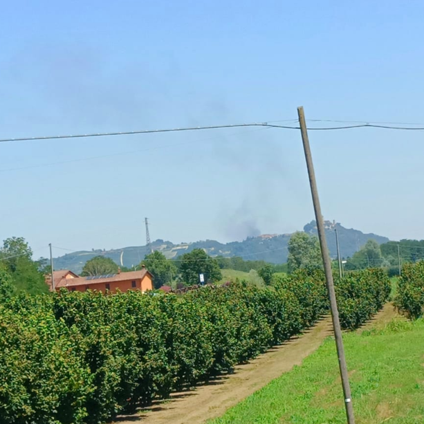 Alta colonna di fumo per l’incendio di due auto in zona Mussotto ad Alba