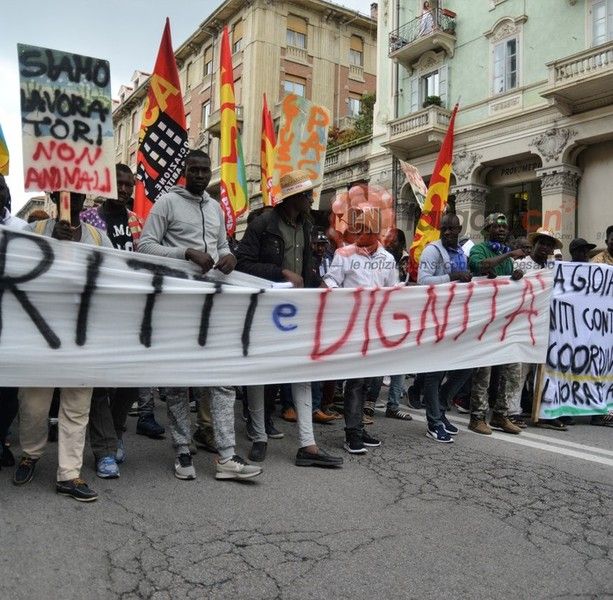 Braccianti sfruttati nel Saluzzese,  parla il legale del 'caporale': &quot;Momo uno strumento in mano alle aziende&quot;