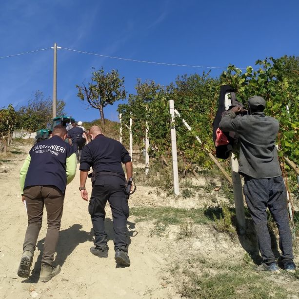 Caporali nei vigneti, se il fenomeno diventa piaga. La Prefettura pensa a un protocollo come quello del Saluzzese