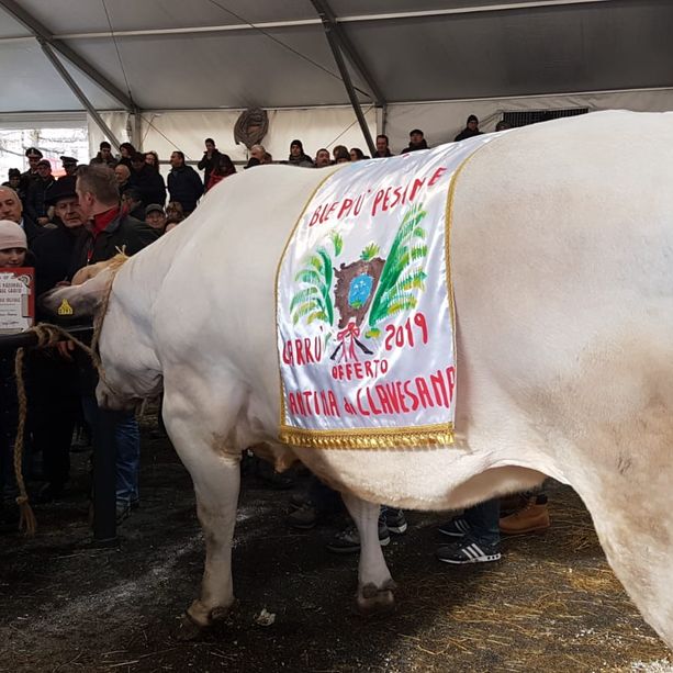 Venerdì 17 dicembre la Fiera Internazionale del Bue Grasso di Carrù raddoppia