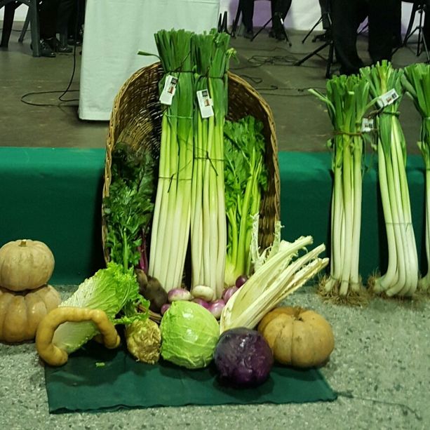 Ufficiale, salta l'edizione 2020 della tradizionale fiera del Porro di Cervere