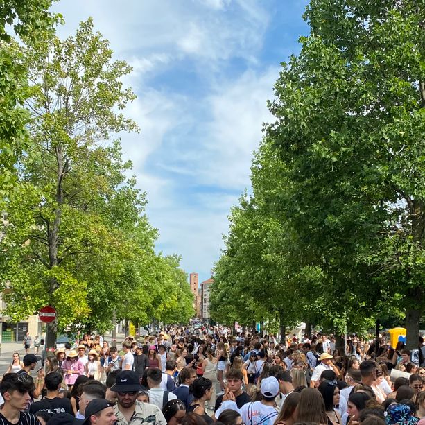 Alba punta su eventi sostenibili: coi concerti di Collisioni via alla sperimentazione per arrivare a nuove linee guide