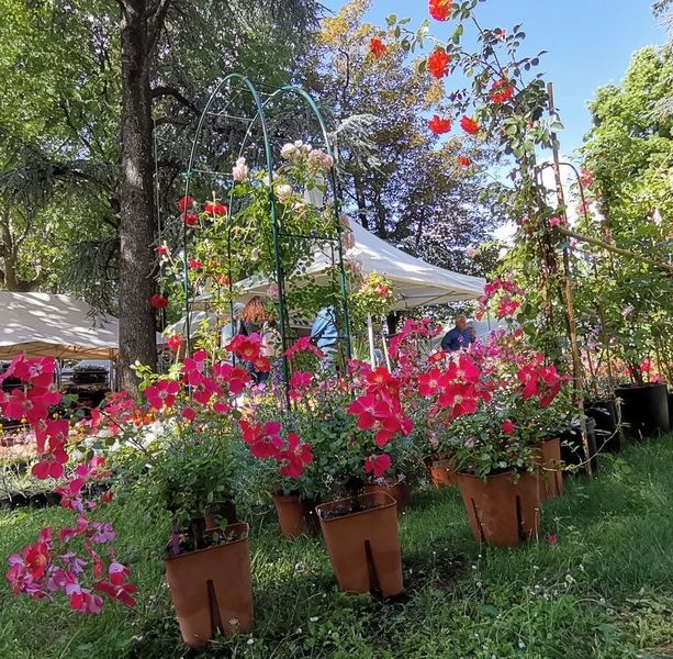 Proposte per trascorrere la Festa della Mamma nella Granda