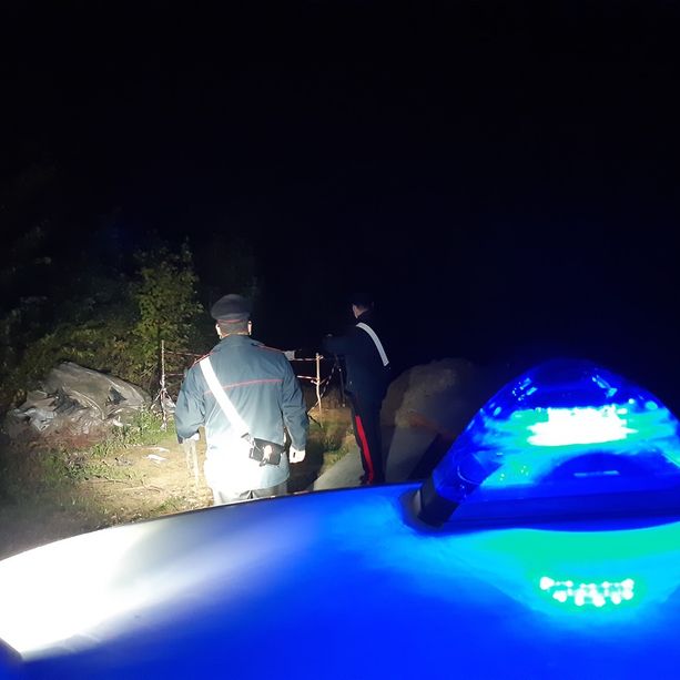Carcasse di cinghiali smaltiti illecitamente in una fossa aperta: sequestrata l’area, tre persone segnalate all’autorità giudiziaria