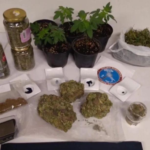 Coltivava e deteneva marijuana per curarsi l'emicrania: assolto un 31enne di Piasco
