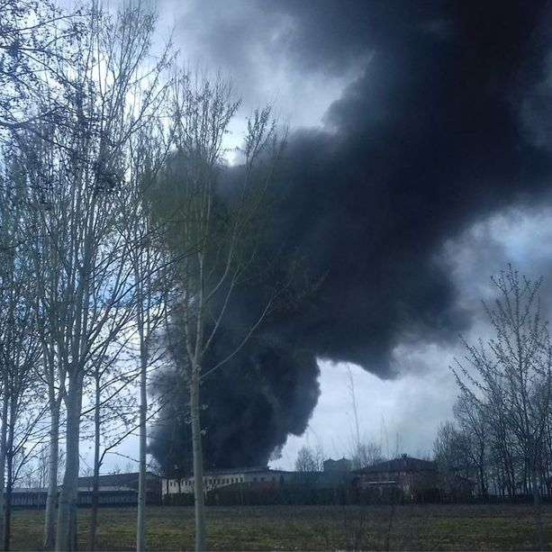 Cuneo, incendio in frazione San Benigno: praticamente cancellato un campo di grano