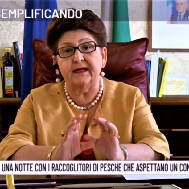 Migranti della frutta di Saluzzo, perentorio il ministro Bellanova: “Gestione in capo a Regione e Prefettura. Inaccettabile lo scaricabarile”