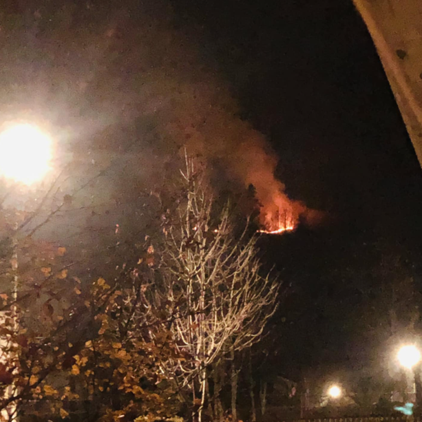 Incendio boschivo sulle alture di Chiusa di Pesio, fiamme spente