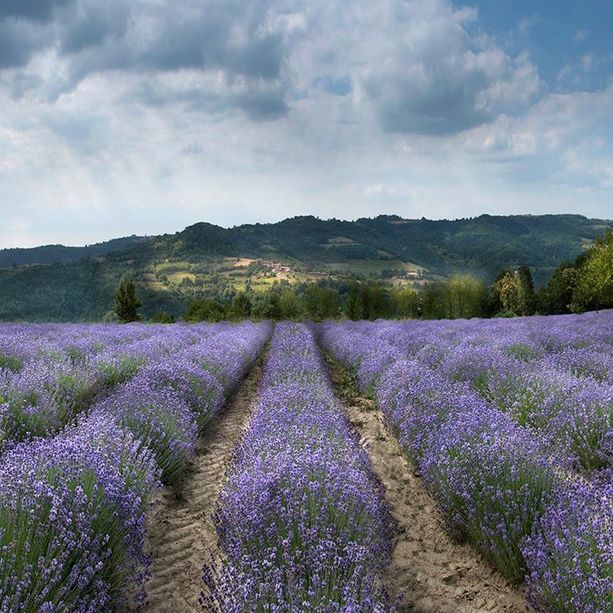 Prima domenica di questa calda estate con tanti appuntamenti