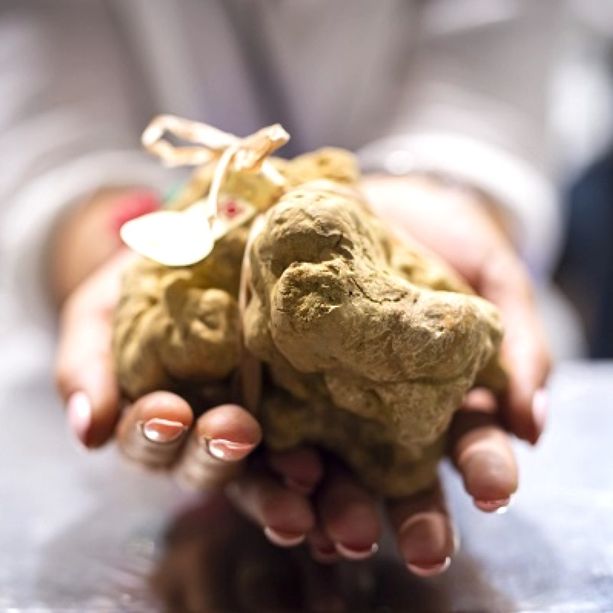 Alba: il Museo del tartufo MUDET si presenta