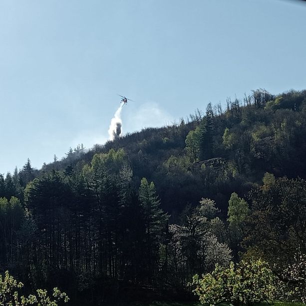 Roccaforte Mondovì, divampato nuovamente l'incendio in località Casali Gavotti