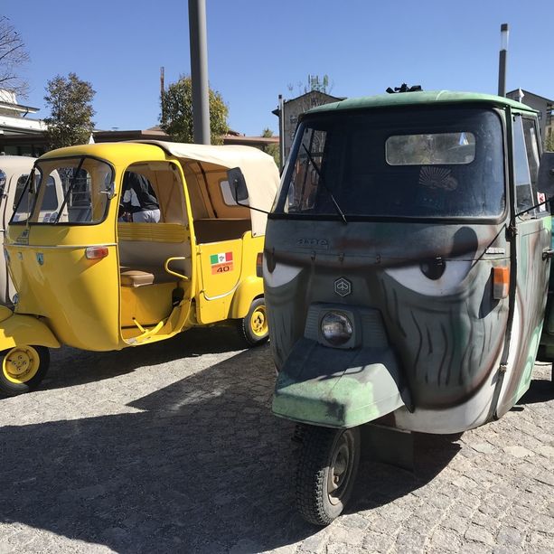 Appuntamenti e proposte per la domenica delle Palme da trascorrere in Granda