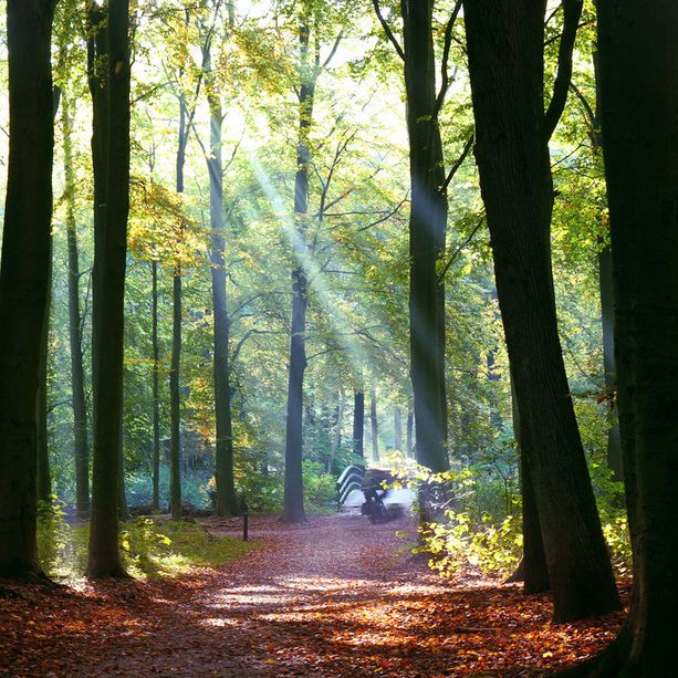 Cosa fare e dove andare oggi, prima domenica d’autunno