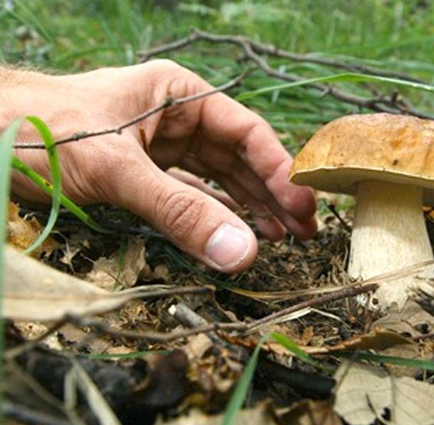 Primo week end d’autunno: ecco come puoi trascorrerlo in Granda