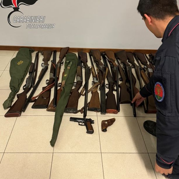 Trenta armi e 487 munizioni ritirate dai carabinieri forestali in Valle Po
