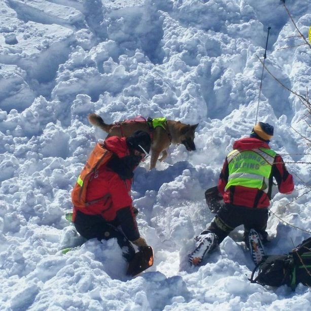 Piccola slavina travolge due scialpinisti in alta Valle Grana. Ferito recuperato e trasportato all'ospedale con eliambulanza