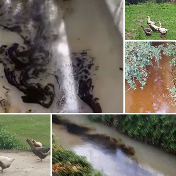 Ignoti sversano combustibile liquido nella bealera tra Baraccone e Magliano Alfieri