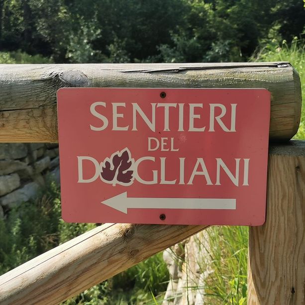 Tante proposte per trascorrere nella Granda questo primo fine settimana di novembre
