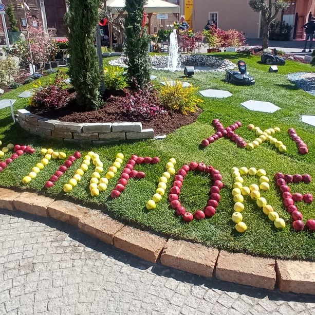 Tante proposte per trascorrere la Domenica delle Palme nella Granda