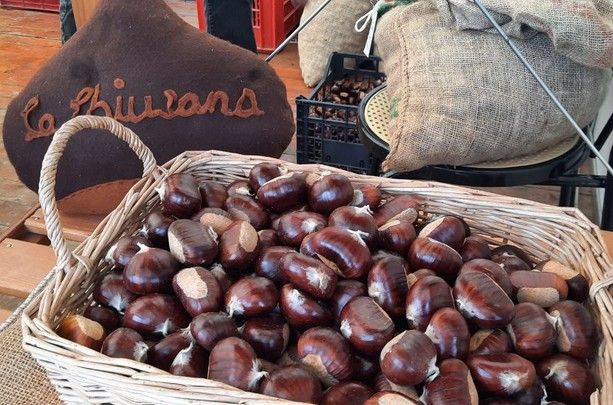 Proposte per trascorrere nella Granda questo fine settimana d’autunno