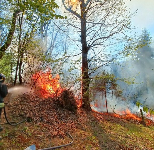 Anche la gru dei cieli in azione per gli incendi boschivi sulle colline, da Peveragno a Chiusa Pesio