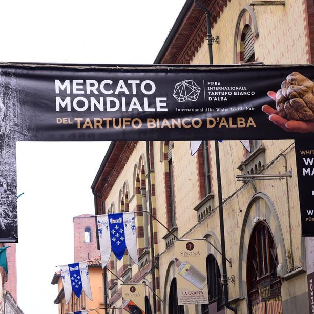 Cirio, &quot;Regione al lavoro per confermare la Fiera del Tartufo Bianco d’Alba&quot;