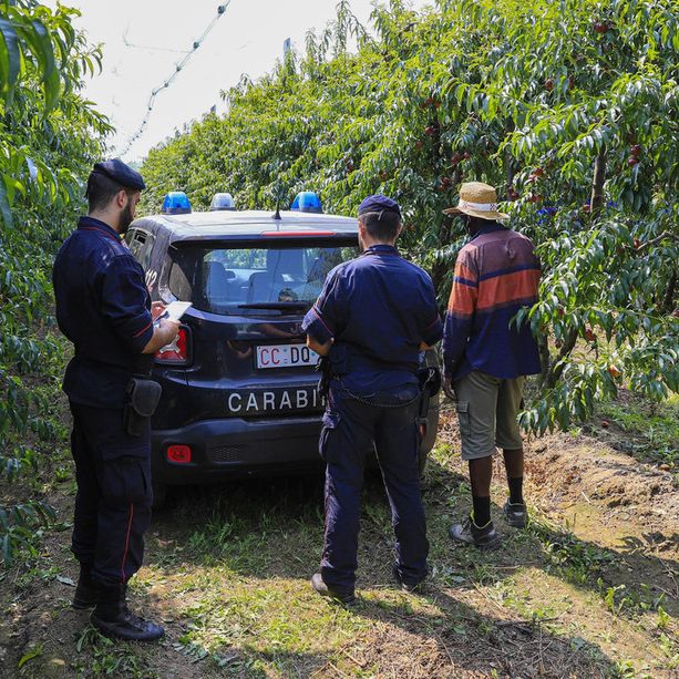 Controlli dei Carabinieri nel distretto frutticolo della Granda: su 150 lavoratori solo 3 irregolari