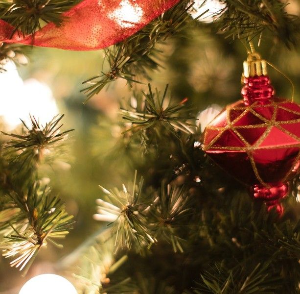 Dal GinItaly ai mercatini di Natale: ecco tutti gli appuntamenti per trascorrere la domenica dell'Immacolata in Granda