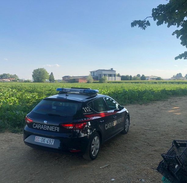 Caporalato a Saluzzo, processo agli sgoccioli. Parla Momo: “Mai preso soldi dai braccianti”