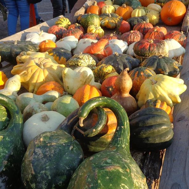 Primo fine settimana di ottobre ricco di eventi in Granda: non c'è che l'imbarazzo della scelta