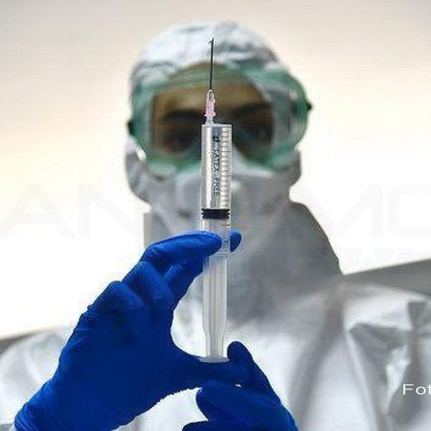 Coronavirus Piemonte: calano i decessi e continua il trend in aumento dei guariti