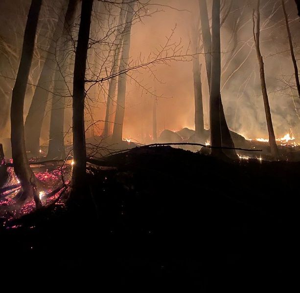 A fuoco un ettaro di bosco vicino a Monteu Roero. Si indaga sulla matrice dolosa